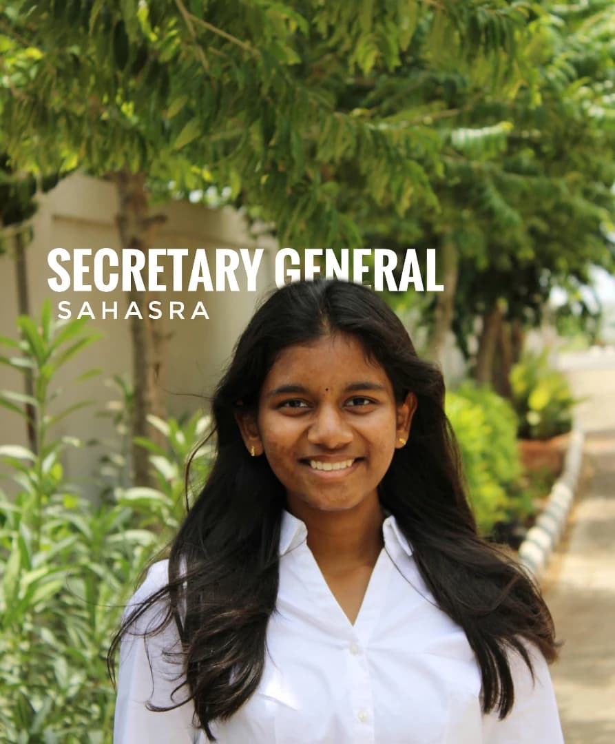 Secretary-General giving a speech