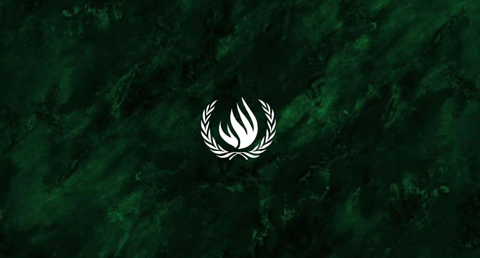 UNHRC Visual